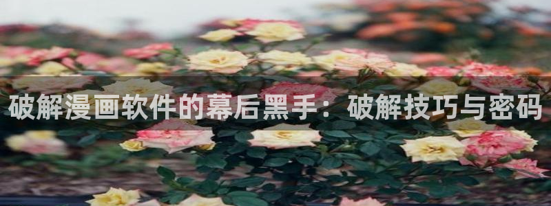 魔咒包子漫画：破解漫画软件的幕后黑手：破解技巧与密码